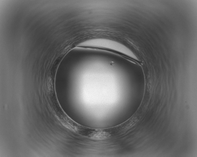 X0000078890459200611271357