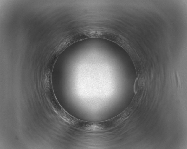 X0000078890460200611271357