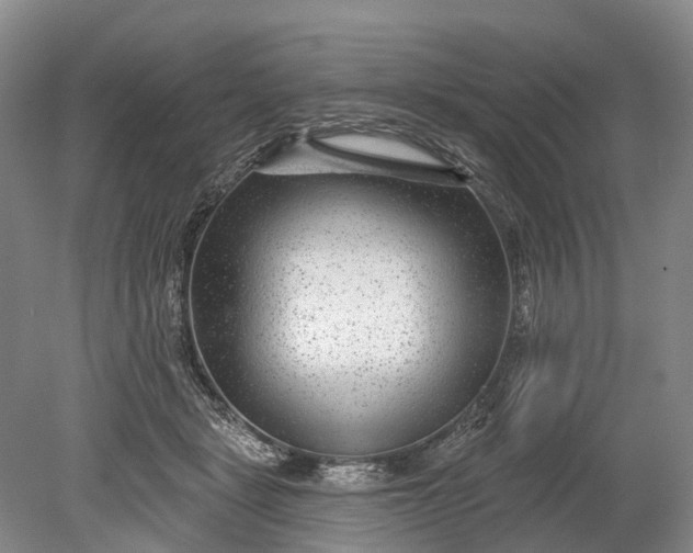 X0000078890461200611271357