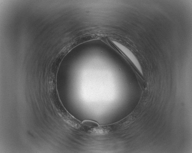 X0000078890464200611271357