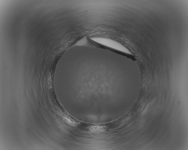 X0000078890465200611271357