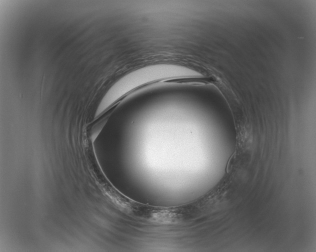 X0000078890470200611271357