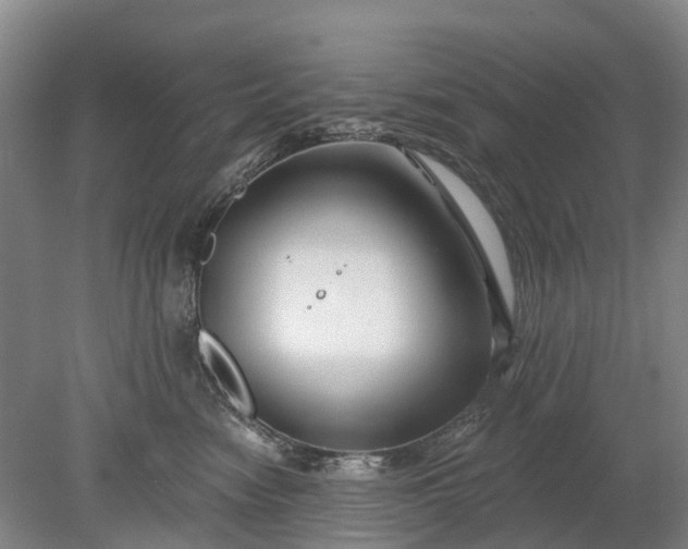 X0000078890474200611271357