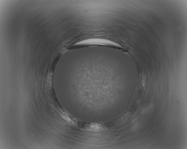 X0000078890475200611271357