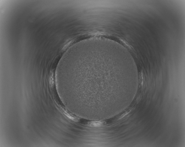 X0000078890479200611271357