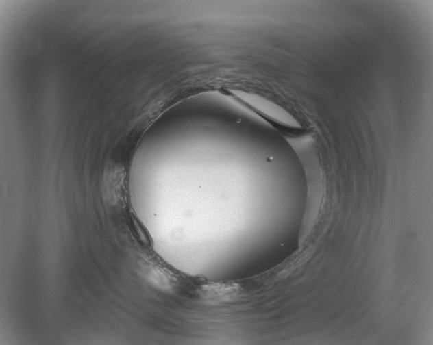 X0000078890480200611271357