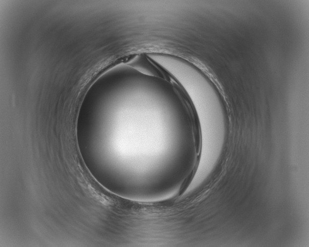 X0000078890481200611271356