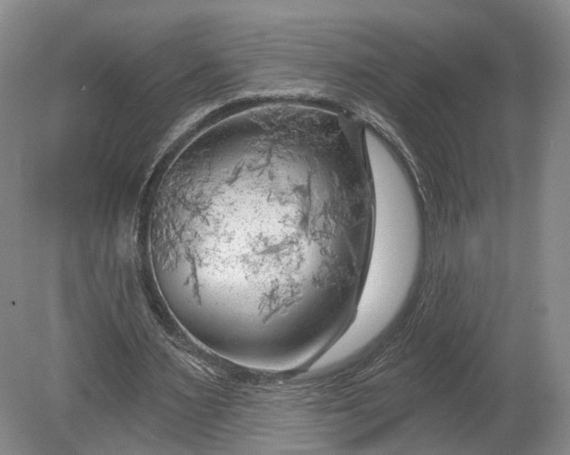 X0000078890483200611271356