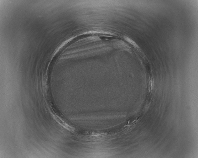 X0000078890484200611271356