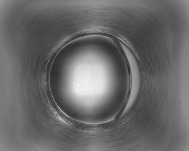 X0000078890485200611271356