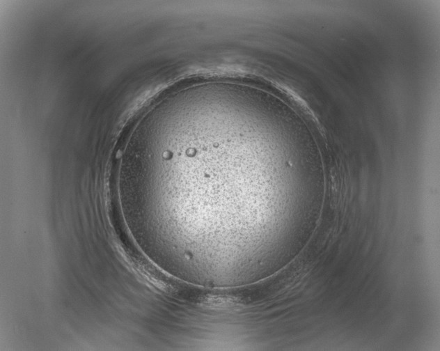 X0000078890487200611271356