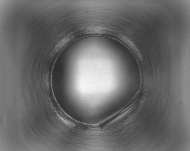 X0000078890489200611271356