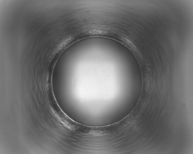 X0000078890490200611271356