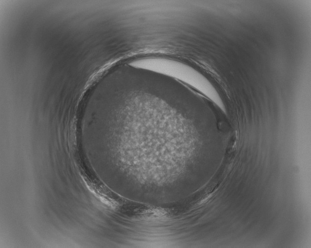 X0000078890492200611271356