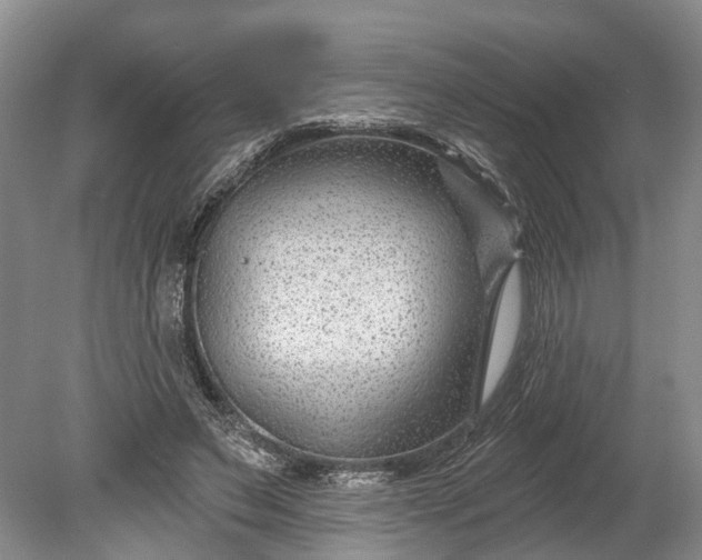 X0000078890495200611271356