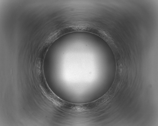 X0000078890498200611271356