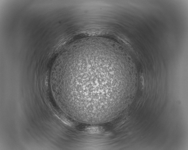 X0000078890499200611271356