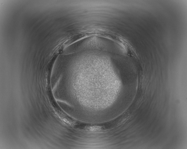 X0000078890501200611271356