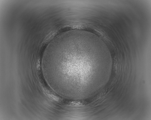 X0000078890502200611271356