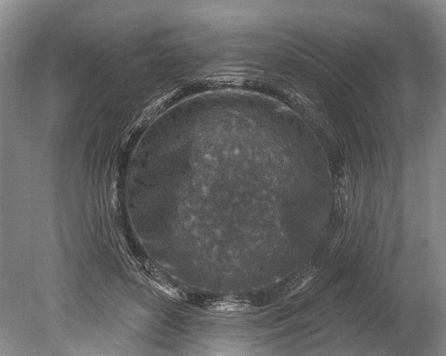 X0000078890504200611271356