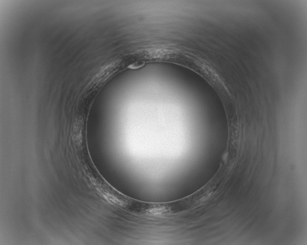 X0000078890505200611271356