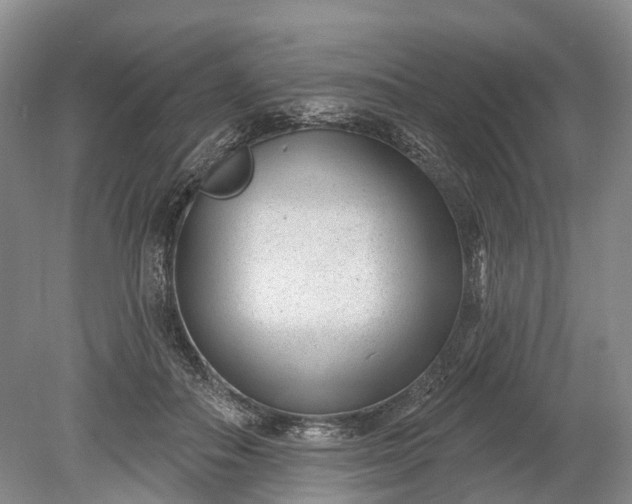 X0000078890506200611271356