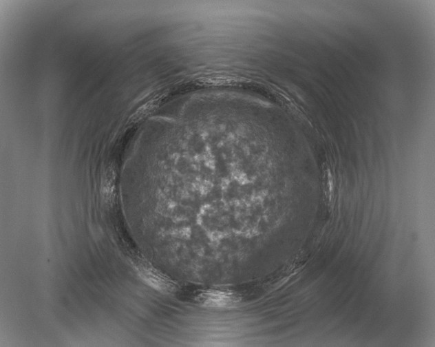 X0000078890507200611271356