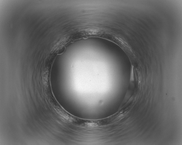 X0000078890509200611271356