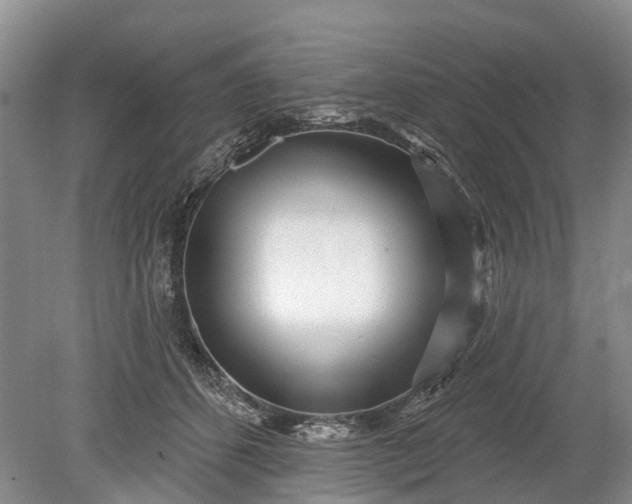 X0000078890512200611271356