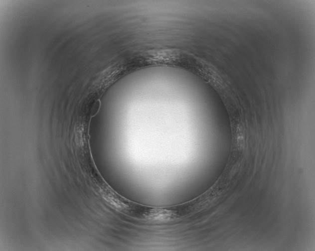 X0000078890514200611271356