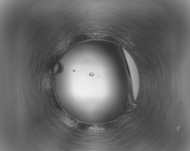 X0000078890515200611271356