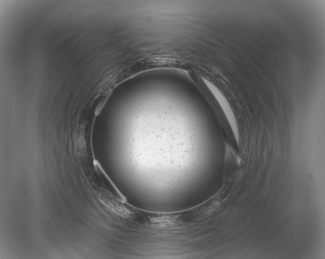 X0000078890516200611271356