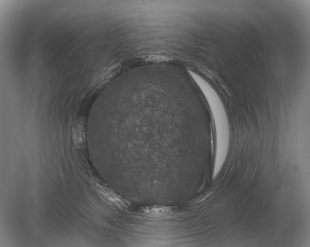 X0000078890517200611271356