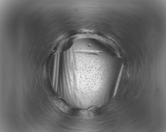 X0000078890520200611271356