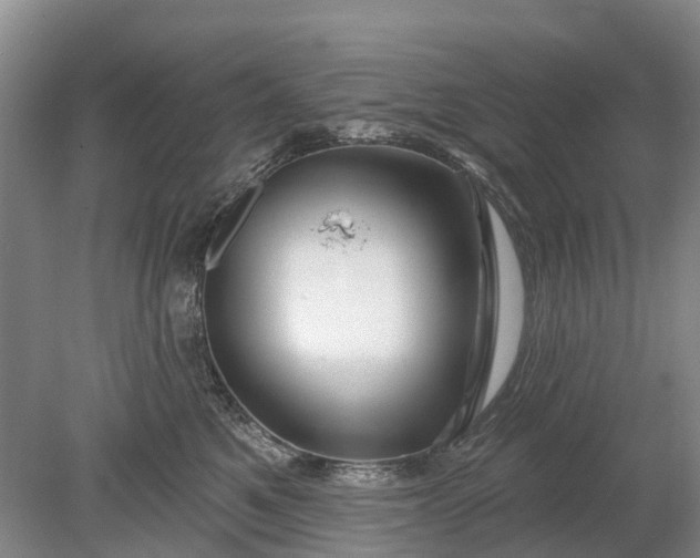 X0000078890521200611271356