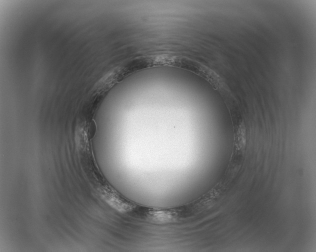 X0000078890522200611271356