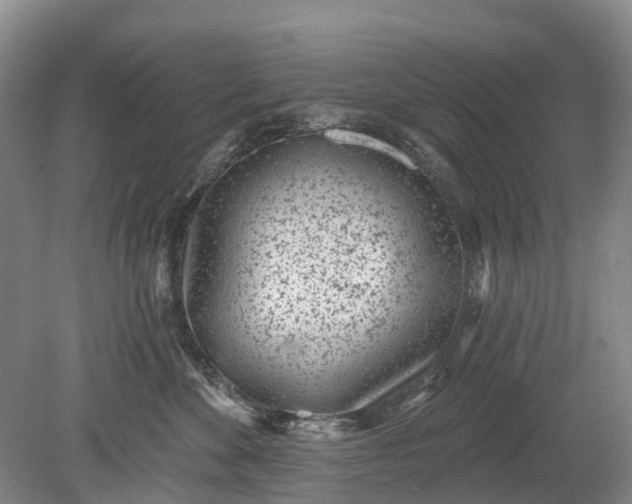 X0000078890524200611271356