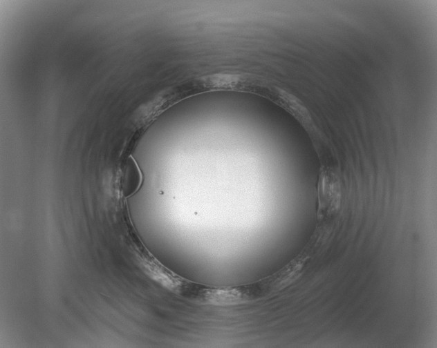 X0000078890525200611271356