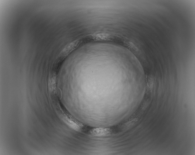 X0000078890526200611271356