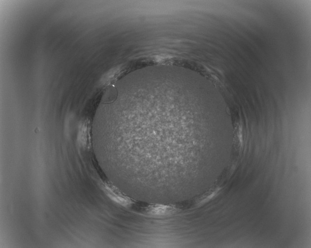 X0000078890527200611271356