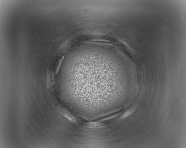 X0000078890528200611271356