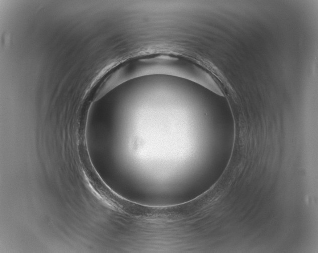 X0000078890530200611271355