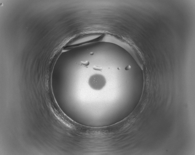 X0000078890533200611271355