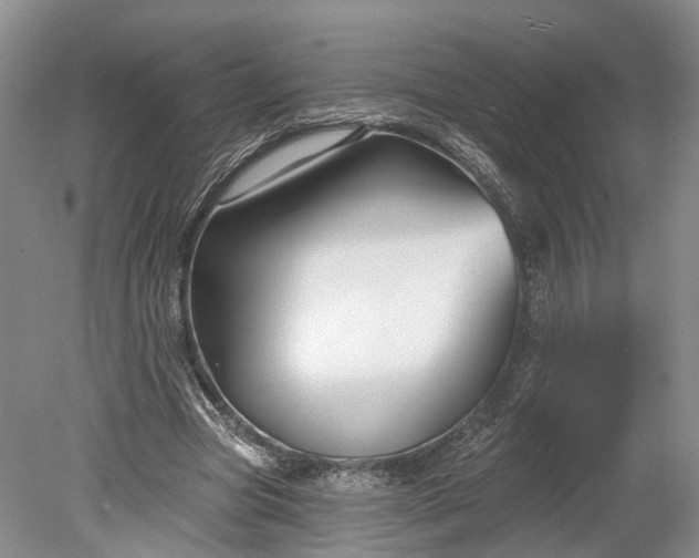 X0000078890537200611271355