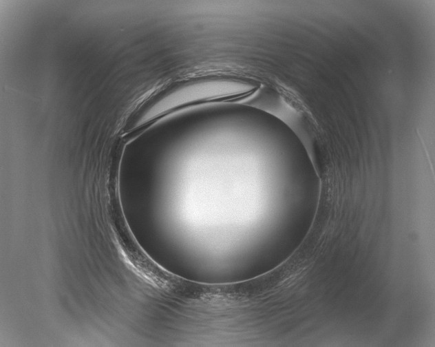 X0000078890538200611271355