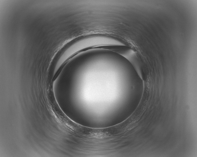 X0000078890540200611271355