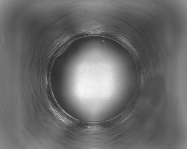 X0000078890541200611271355