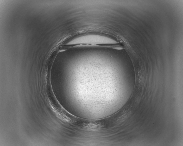 X0000078890542200611271355