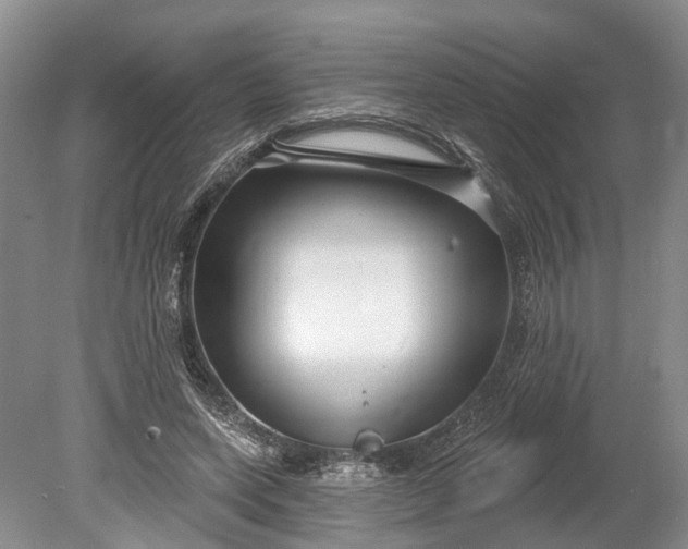 X0000078890543200611271355