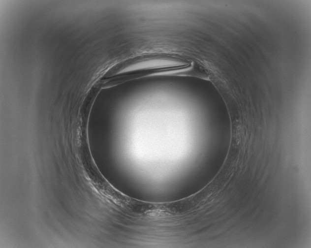 X0000078890544200611271355